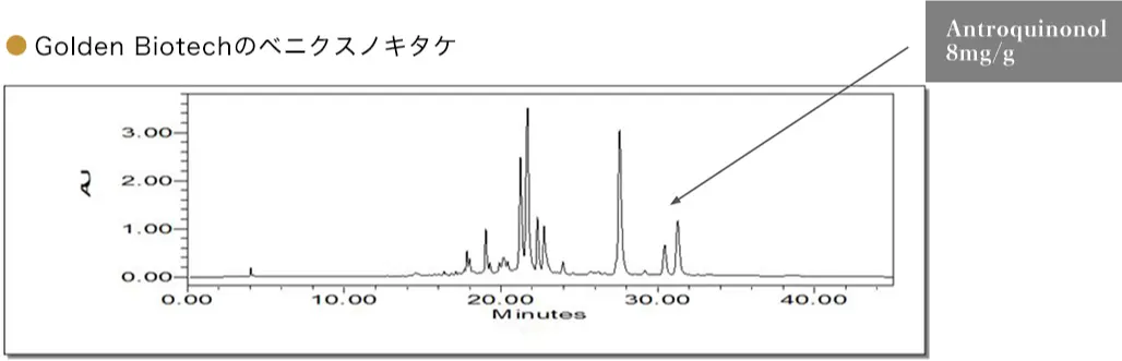 Golden Biotechのベニクスノキタケ