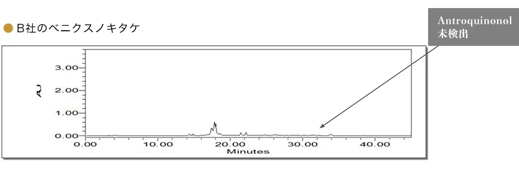 B社のベニクスノキタケ