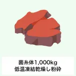 菌糸体 1,000kg低温凍結乾燥し粉砕